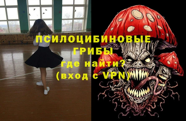 герыч Арсеньев
