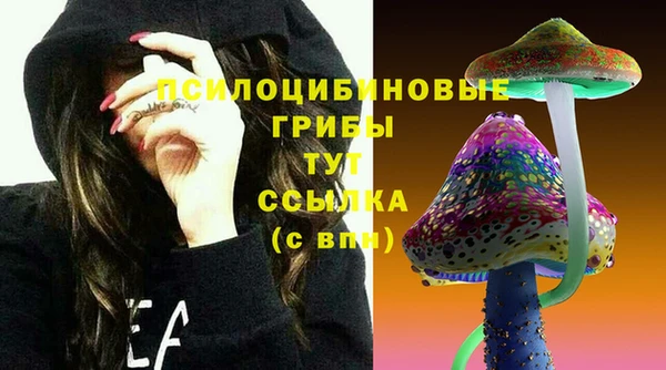 МДПВ Балахна