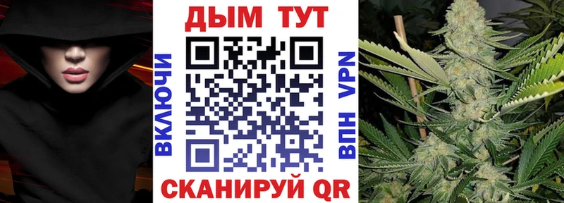 Купить  Орлов  Каннабис индика 